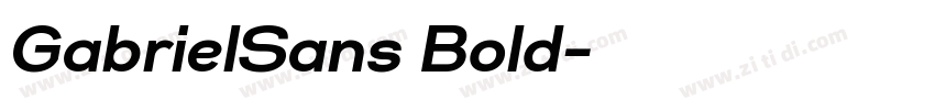 GabrielSans Bold字体转换 GabrielSans Bold字体转换